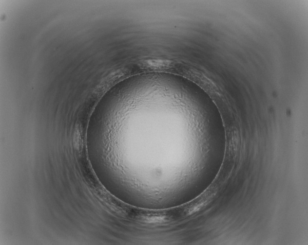 X0000080700651200612301515