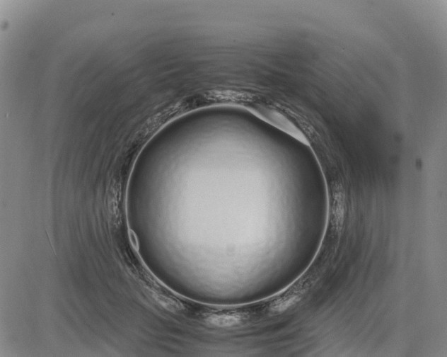 X0000080700653200612301515