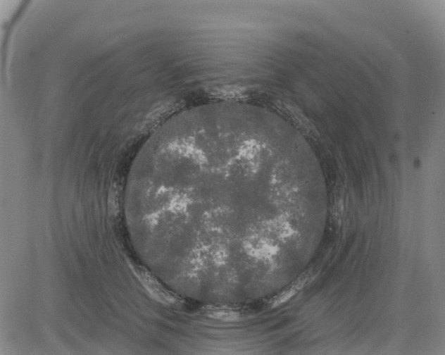 X0000080700658200612301515