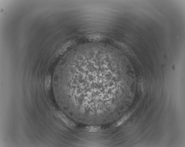 X0000080700660200612301515