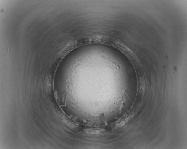 X0000080700661200612301515