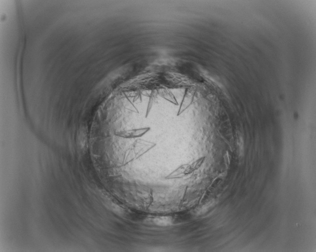X0000080700665200612301515