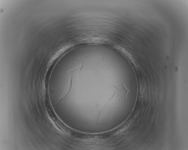 X0000080700674200612301515