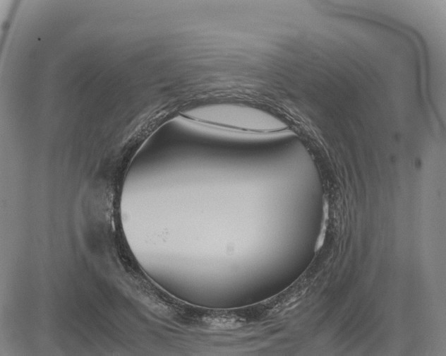 X0000080700693200612301514