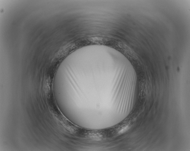 X0000080700702200612301514