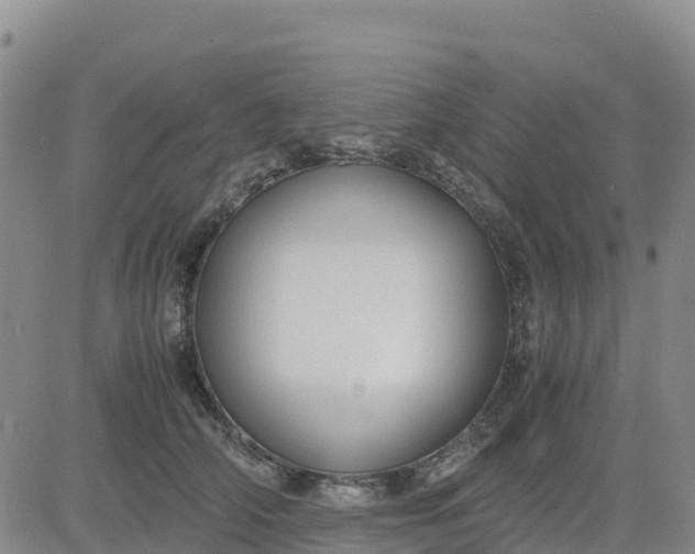 X0000080700706200612301514