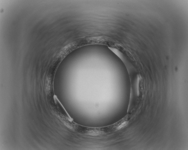 X0000080700708200612301514