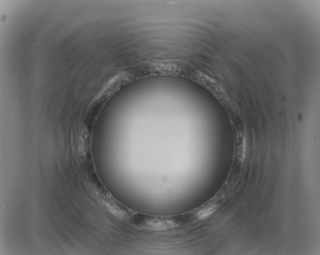 X0000080700712200612301514