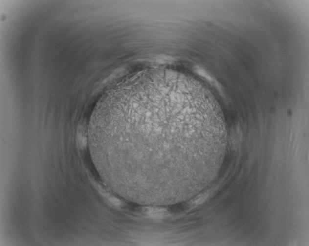 X0000080700719200612301514