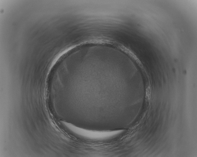 X0000080700724200612301513