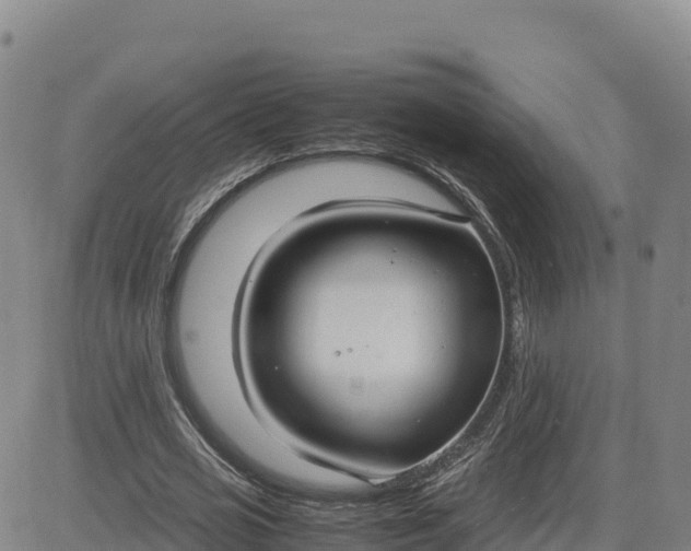 X0000080700725200612301513