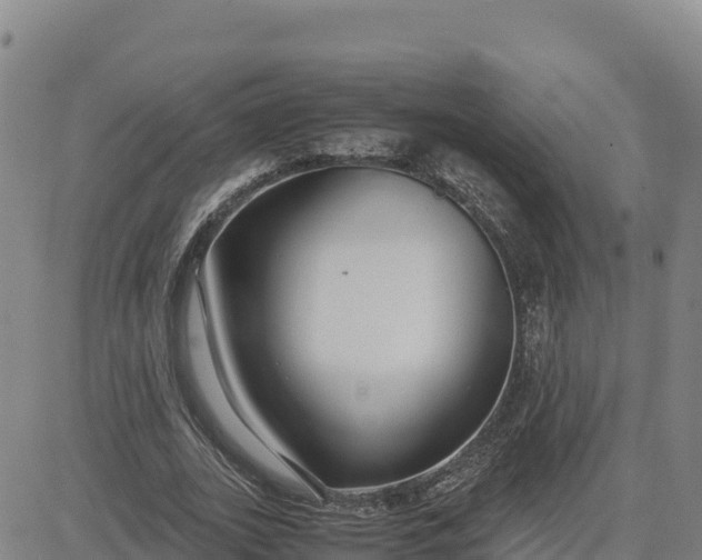 X0000080700727200612301513