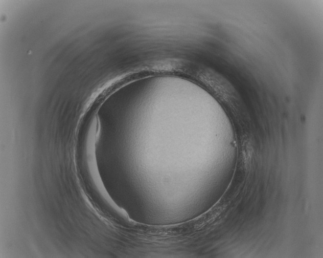 X0000080700728200612301513