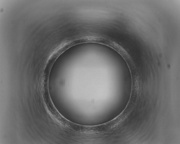 X0000080700730200612301513