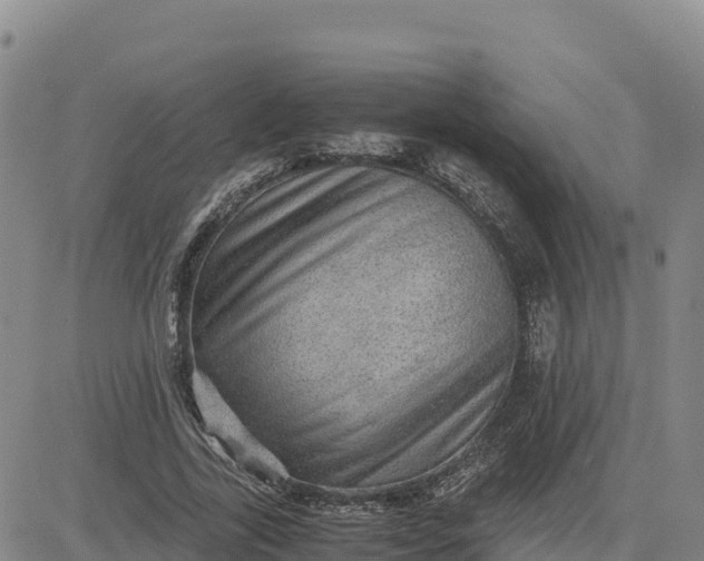 X0000080700731200612301513