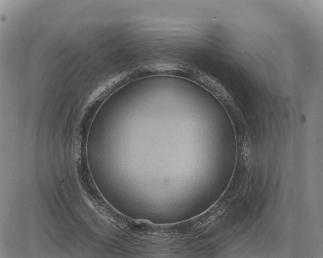 X0000080700732200612301513