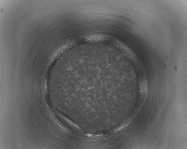 X0000080700733200612301513