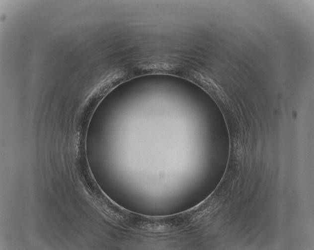 X0000080700735200612301513