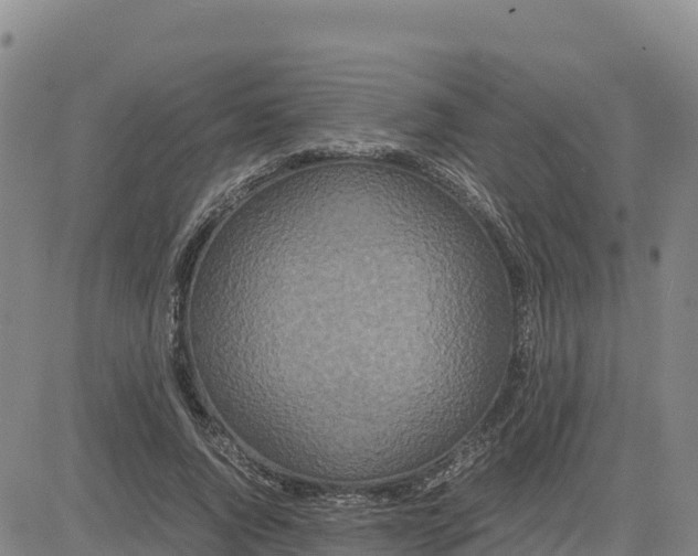 X0000080700736200612301513