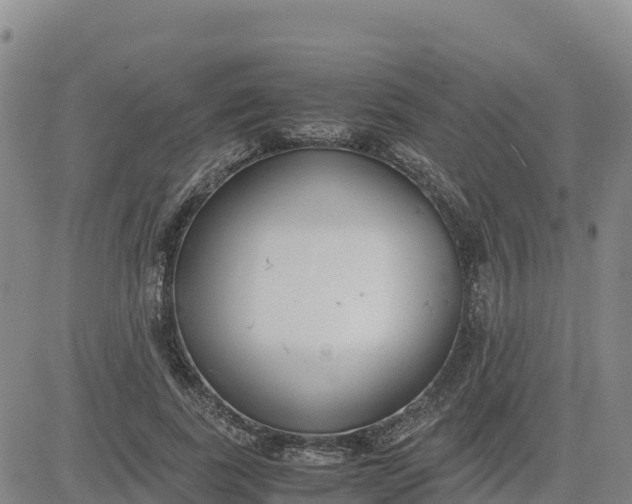 X0000080700739200612301514