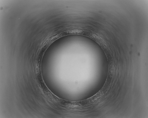 X0000080700743200612301514