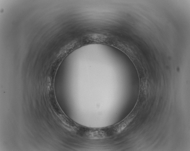 X0000080700752200612301514