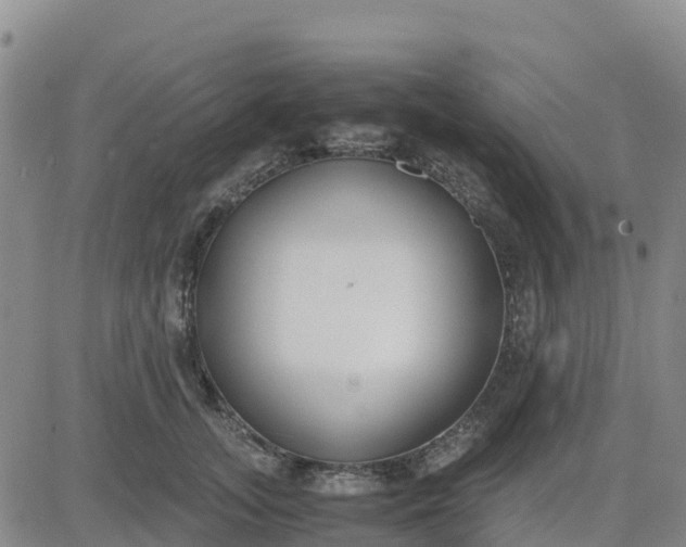 X0000080700755200612301514
