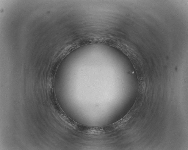 X0000080700756200612301514