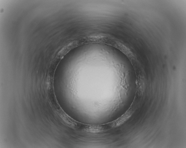 X0000080700758200612301514