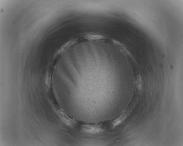 X0000080700763200612301514