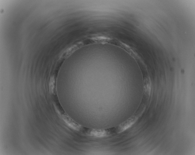 X0000080700767200612301514
