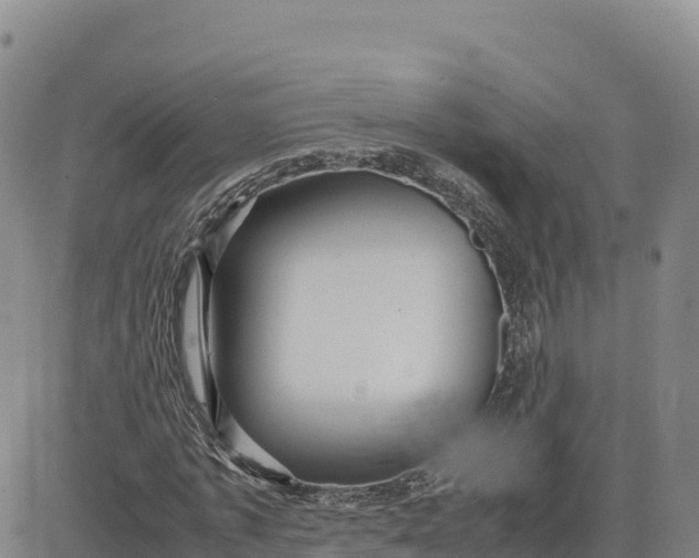 X0000080700773200612301513