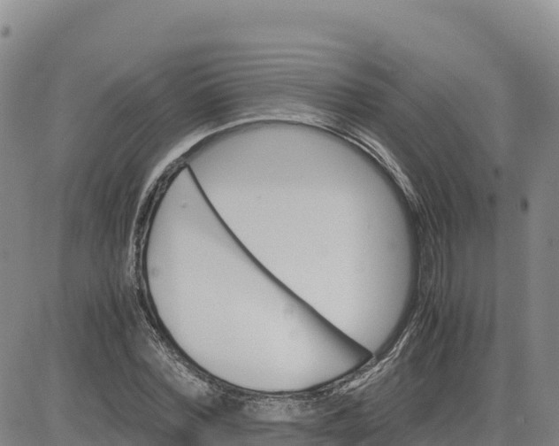X0000080700780200612301513
