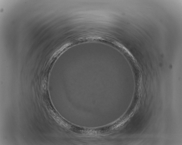 X0000080700785200612301513