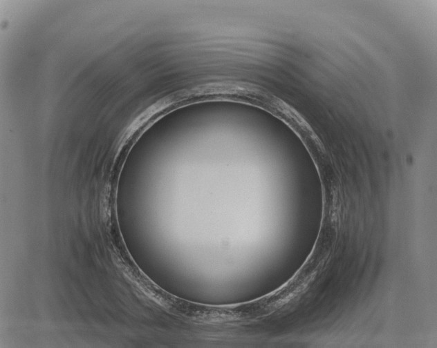 X0000080700786200612301513