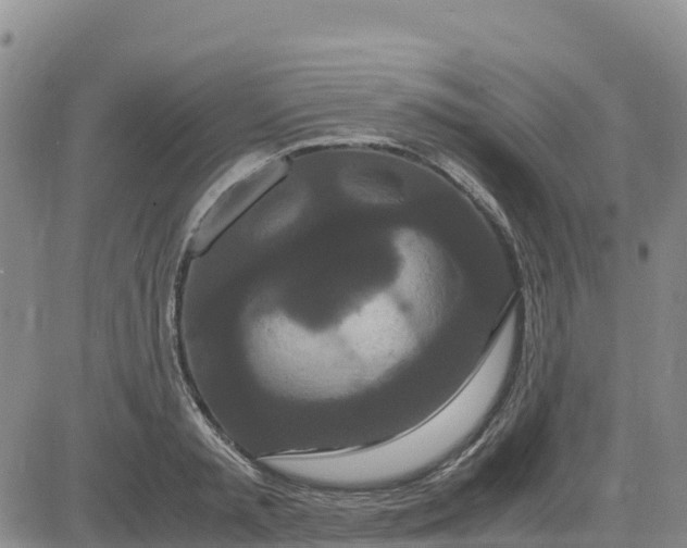 X0000080700797200612301513