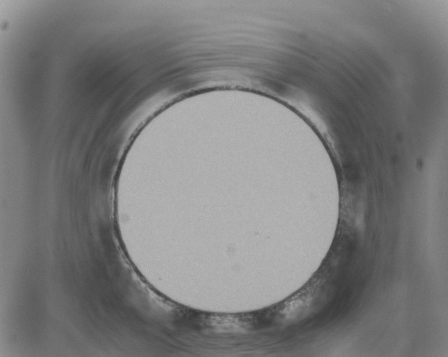 X0000080700807200612301513