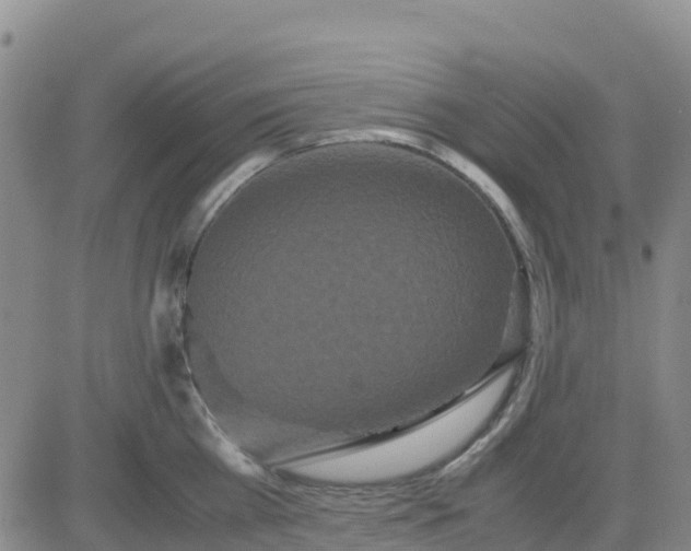 X0000080700809200612301513