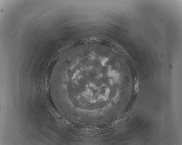 X0000080700819200612301512