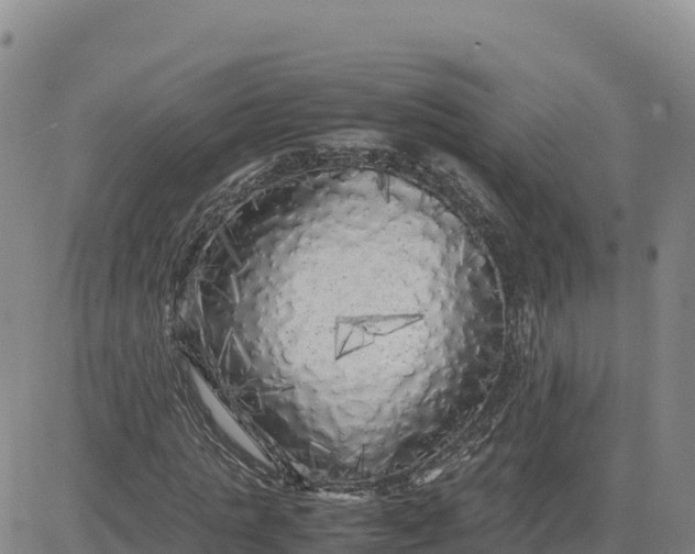 X0000080700821200612301512