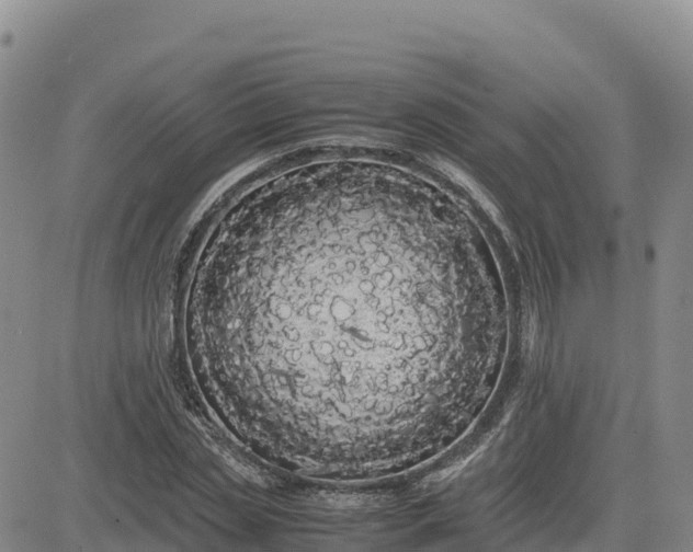 X0000080700829200612301512