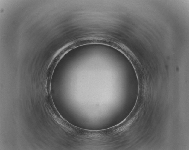 X0000080700830200612301512
