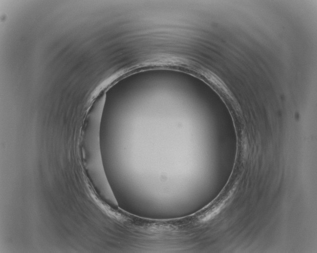 X0000080700842200612301512