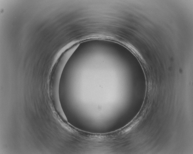 X0000080700854200612301512