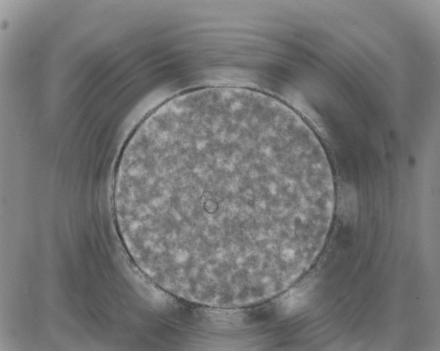 X0000080700856200612301512