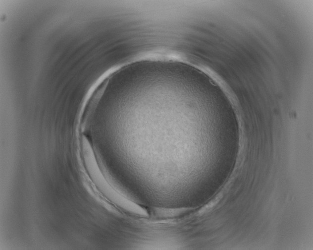 X0000080700864200612301512
