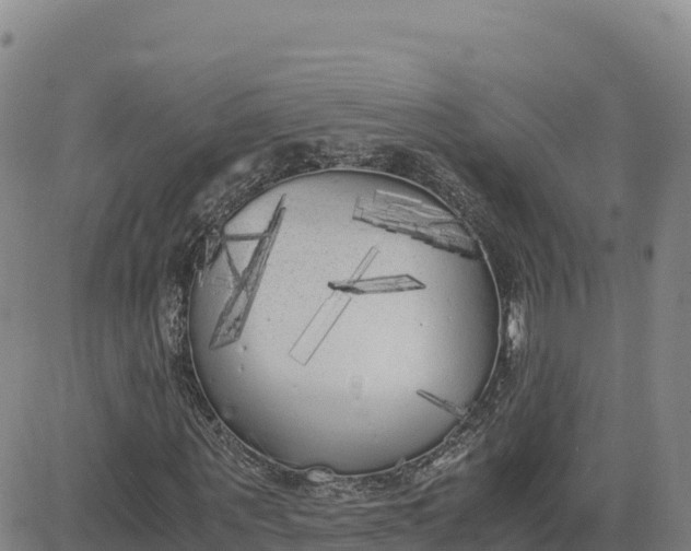 X0000080700867200612301512