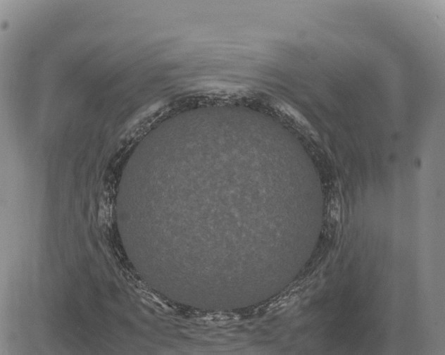 X0000080700869200612301512