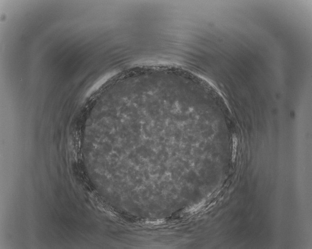 X0000080700871200612301512