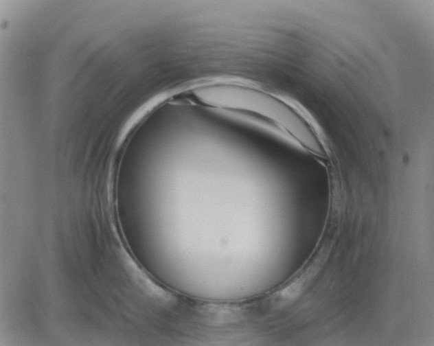 X0000080700910200612301511